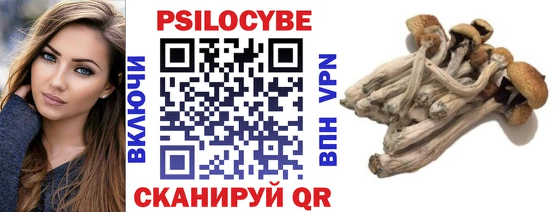 купить наркотики сайты  ОМГ ОМГ зеркало  Псилоцибиновые грибы GOLDEN TEACHER  Заозёрный 